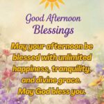 Beautiful Good Afternoon Monday Blessings