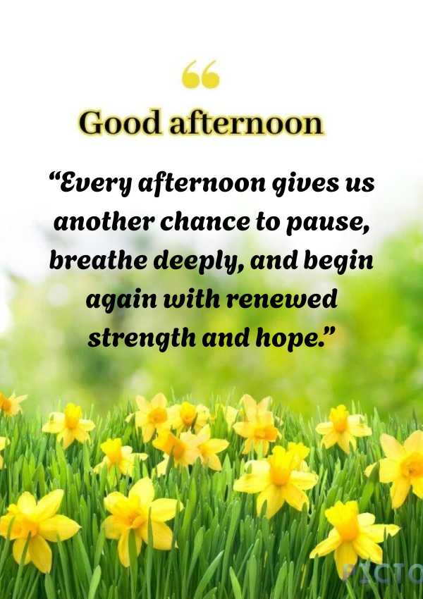 Wednesday Afternoon Blessings Quotes