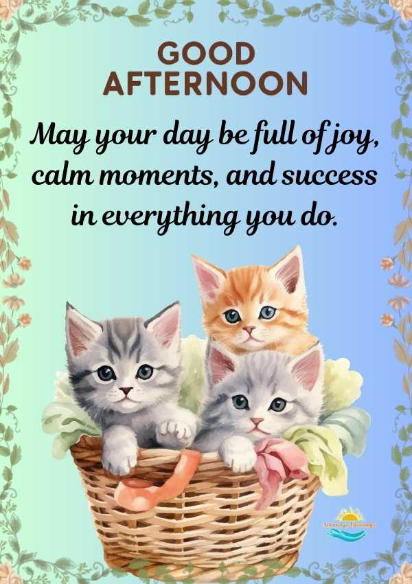 Positive Good Afternoon Tuesday Greetings